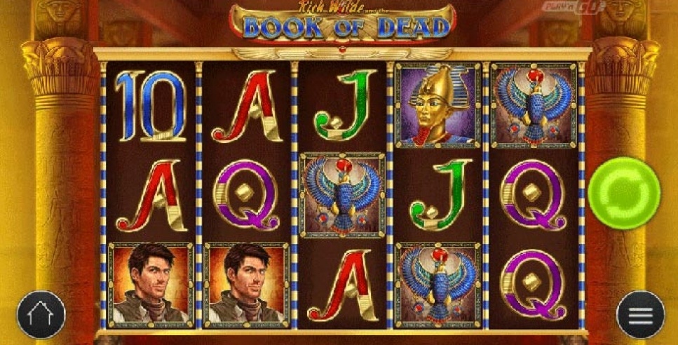 Free spiny na book of dead w casumo casino