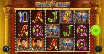 Free spiny na book of dead
