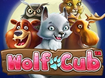 Darmowe spiny na Wolf Cub w Kasynie Betsafe